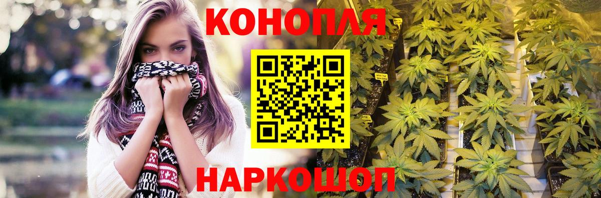 Каннабис ГИДРОПОН Элиста